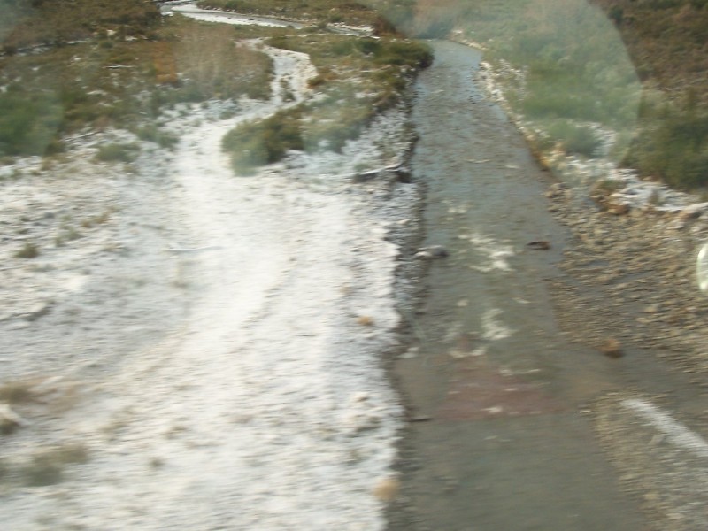 100_6294.JPG
