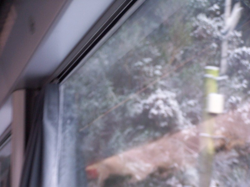 100_6300.JPG