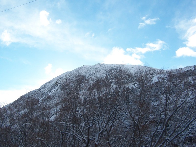 100_6311.JPG