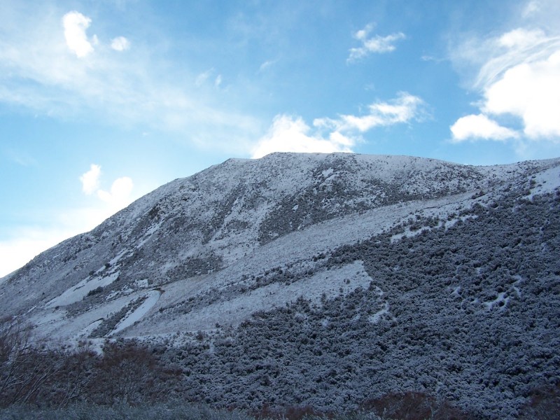 100_6312.JPG