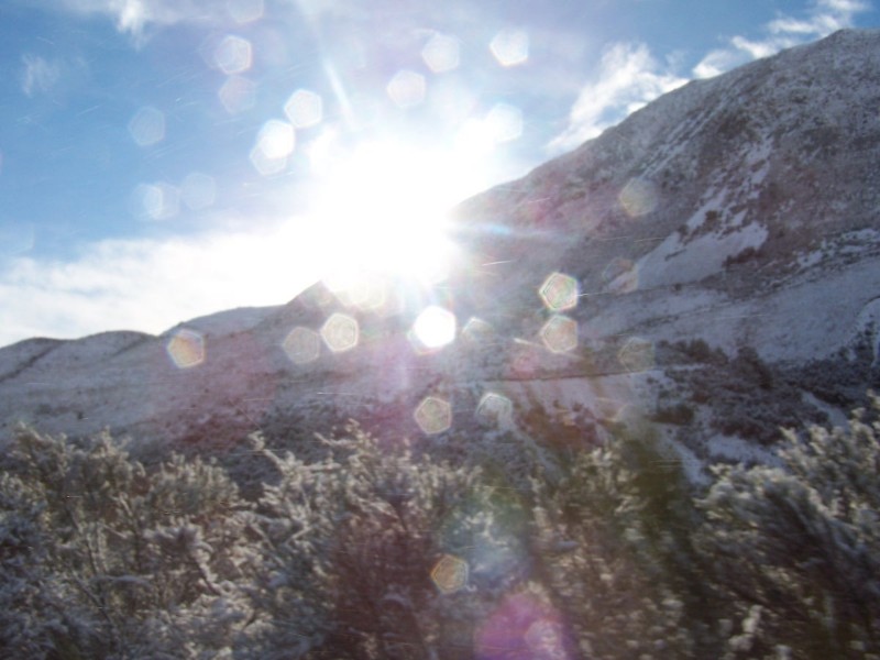 100_6314.JPG