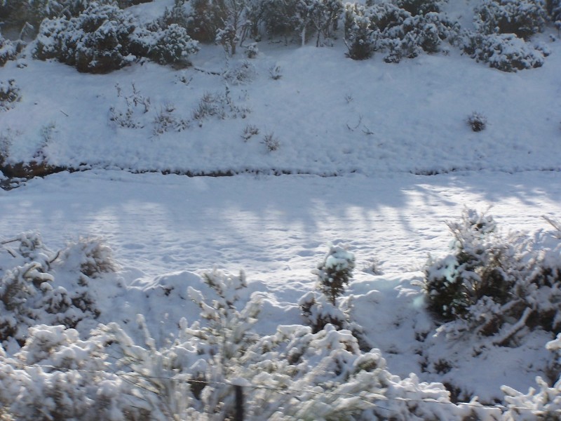100_6318.JPG