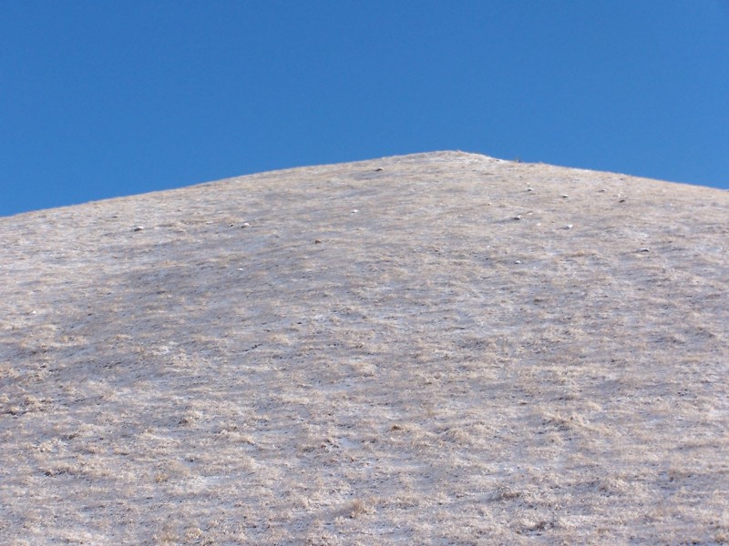 100_6328.JPG