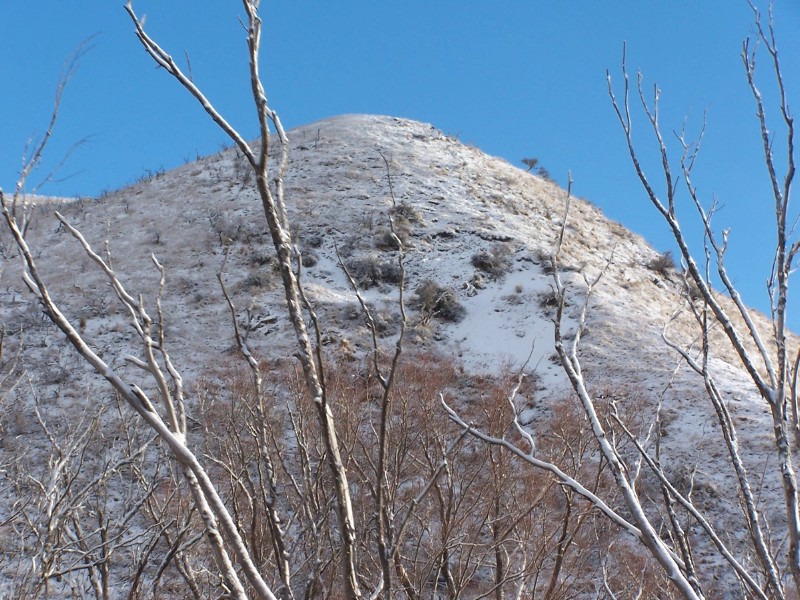 100_6329.JPG