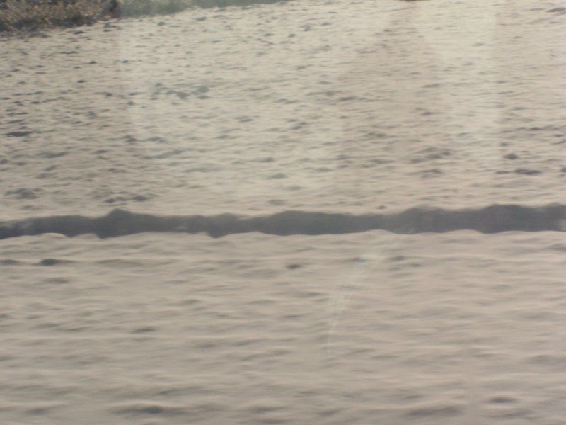 100_6349.JPG