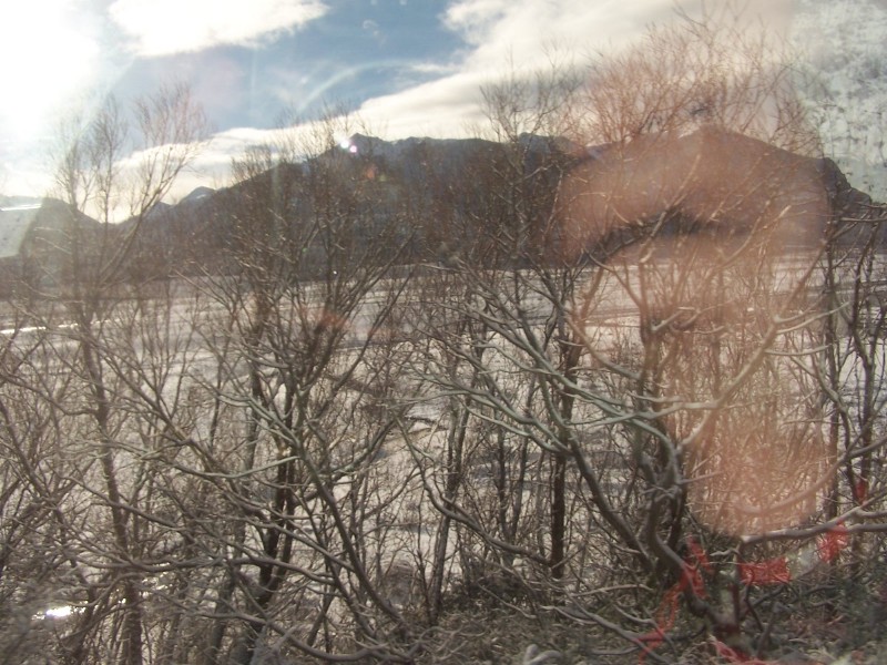 100_6371.JPG