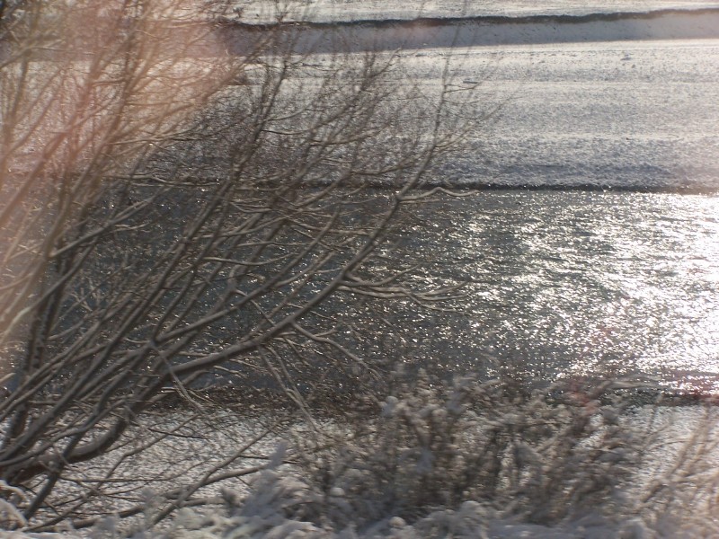 100_6374.JPG