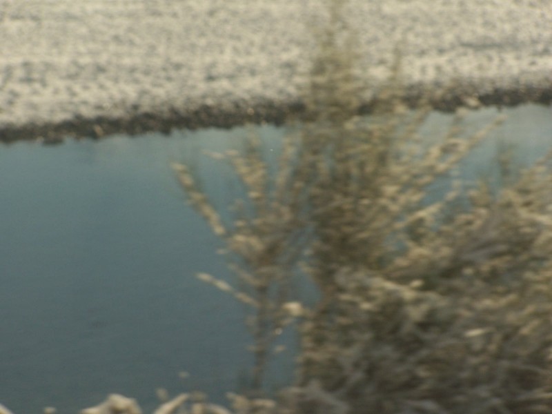 100_6376.JPG