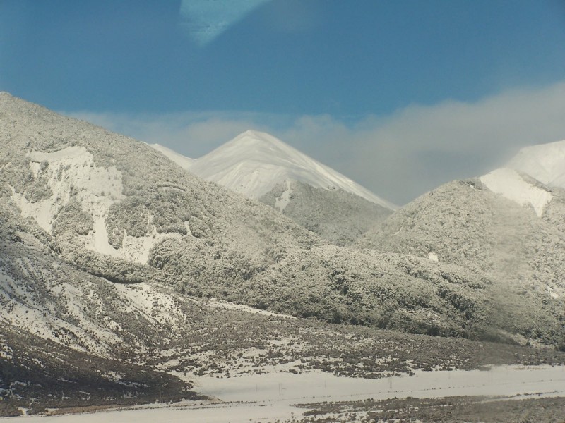 100_6397.JPG