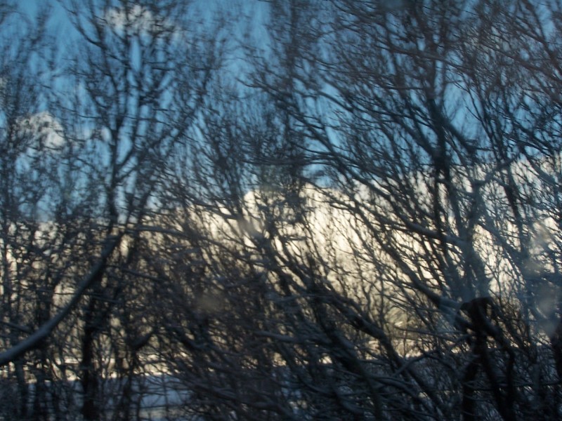 100_6409.JPG