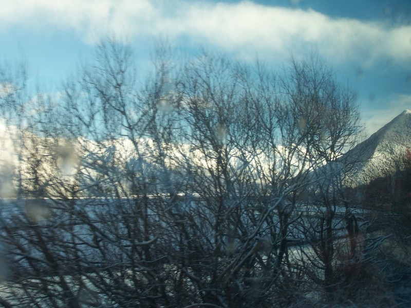 100_6410.JPG