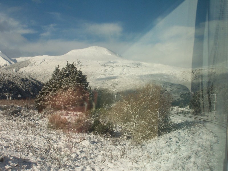 100_6423.JPG