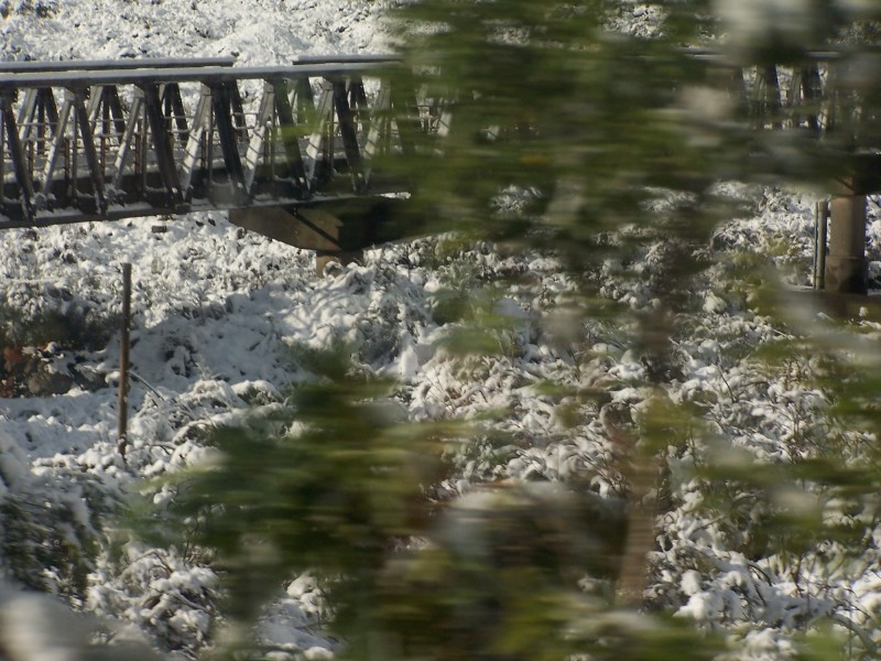 100_6446.JPG