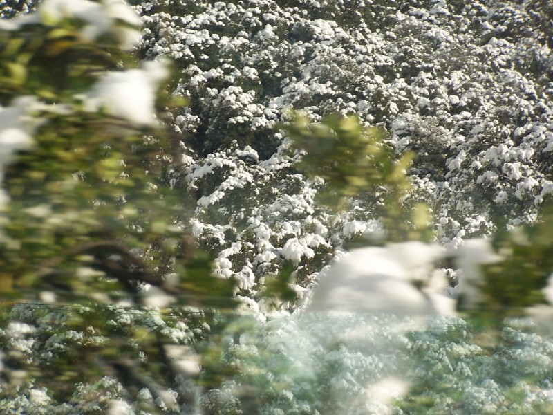 100_6449.JPG