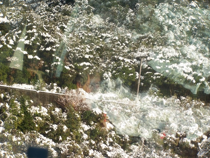 100_6452.JPG