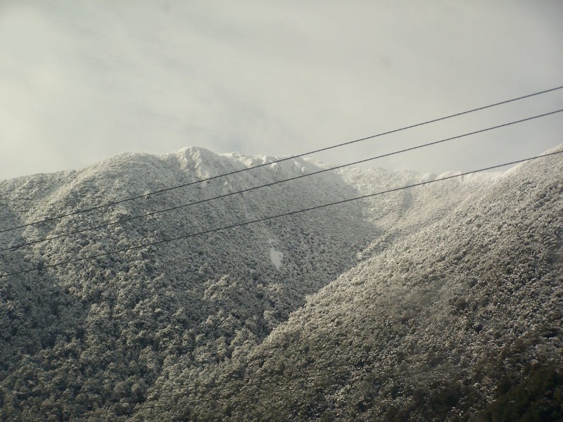 100_6461.JPG