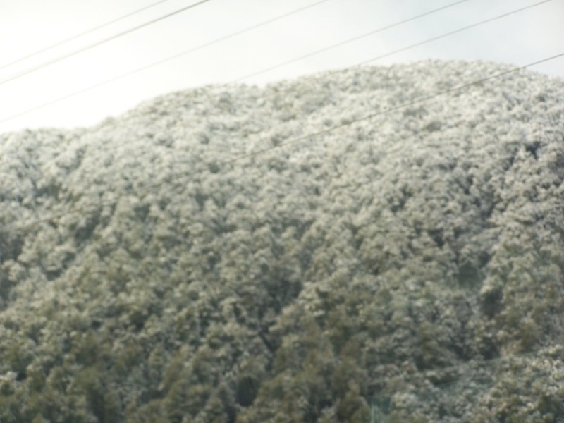 100_6468.JPG