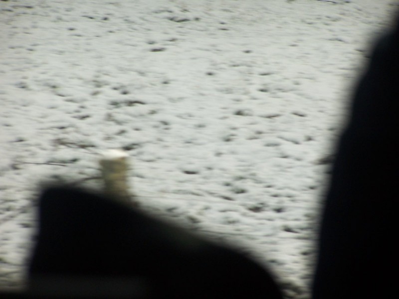 100_6469.JPG