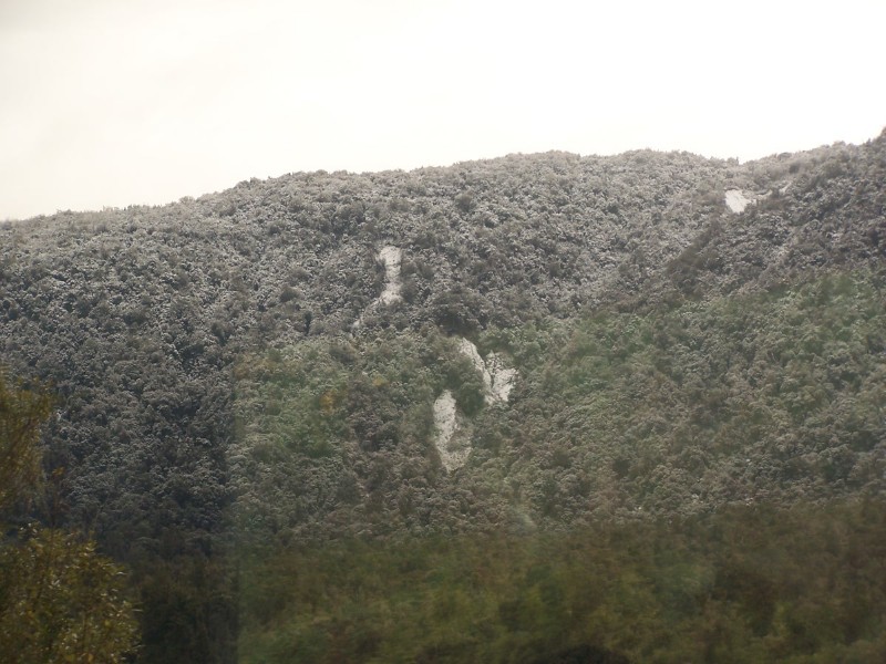 100_6488.JPG