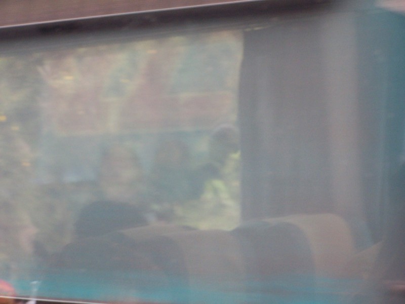 100_6489.JPG