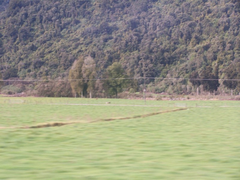 100_6514.JPG