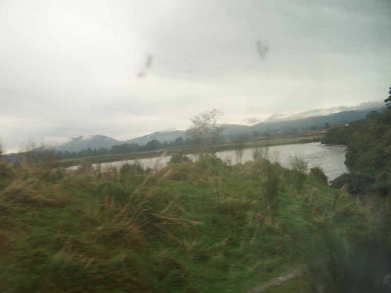100_6530.JPG