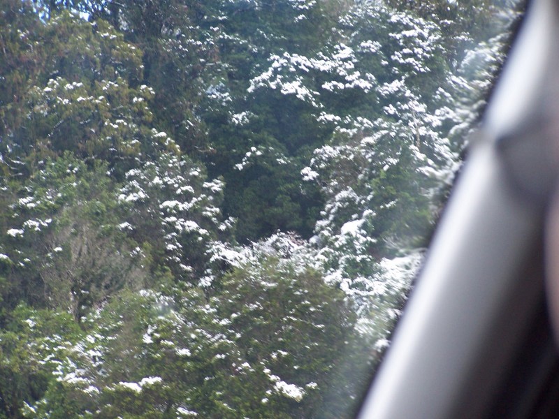100_6549.JPG