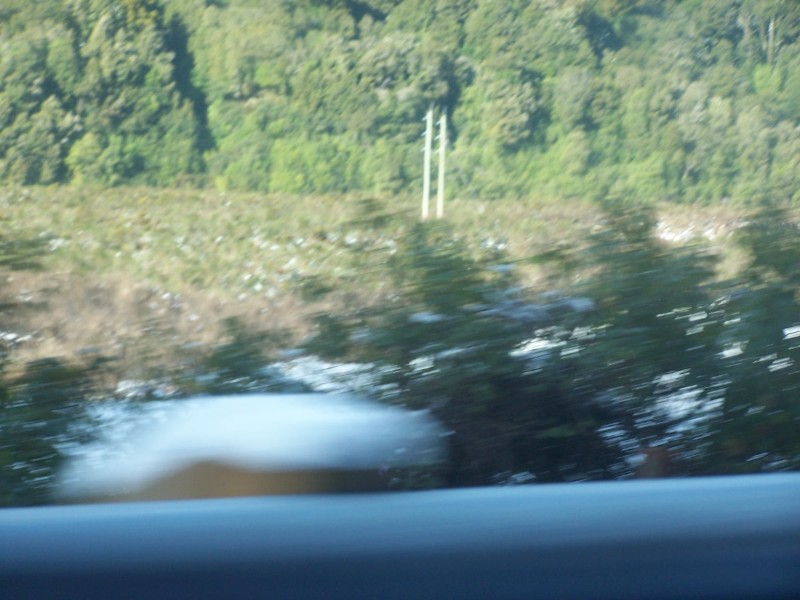 100_6552.JPG