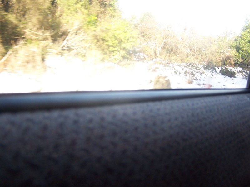100_6554.JPG