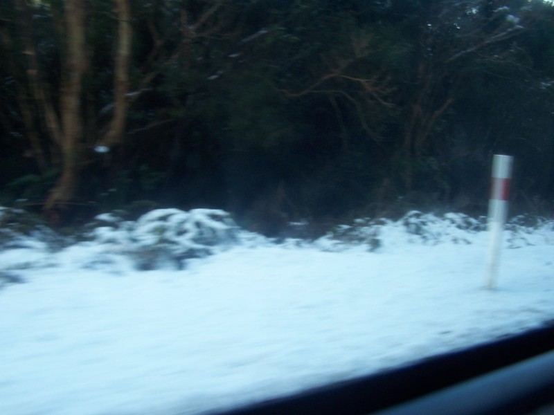 100_6556.JPG
