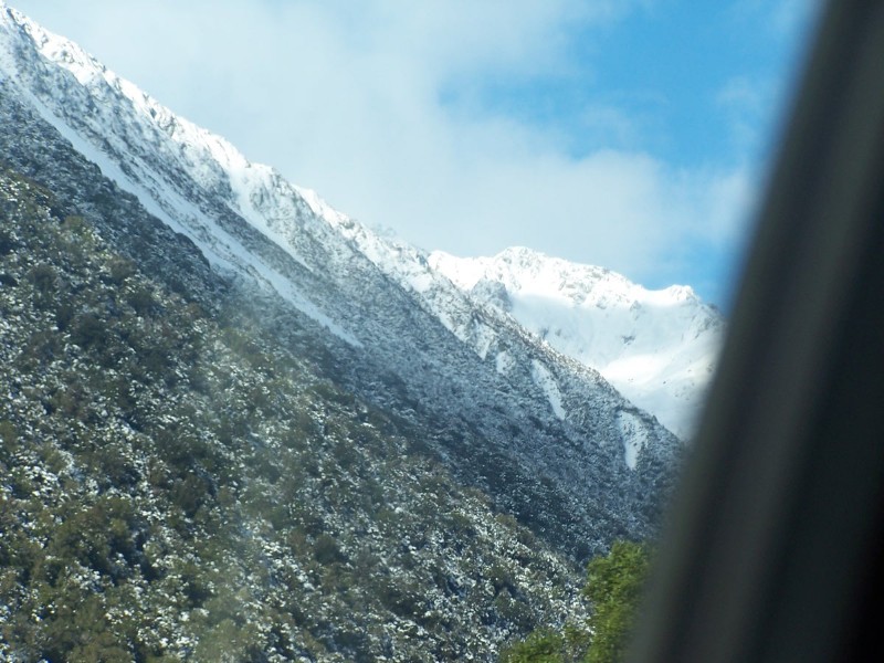 100_6557.JPG