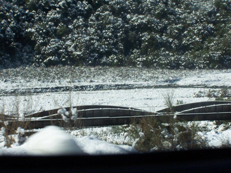 100_6564.JPG