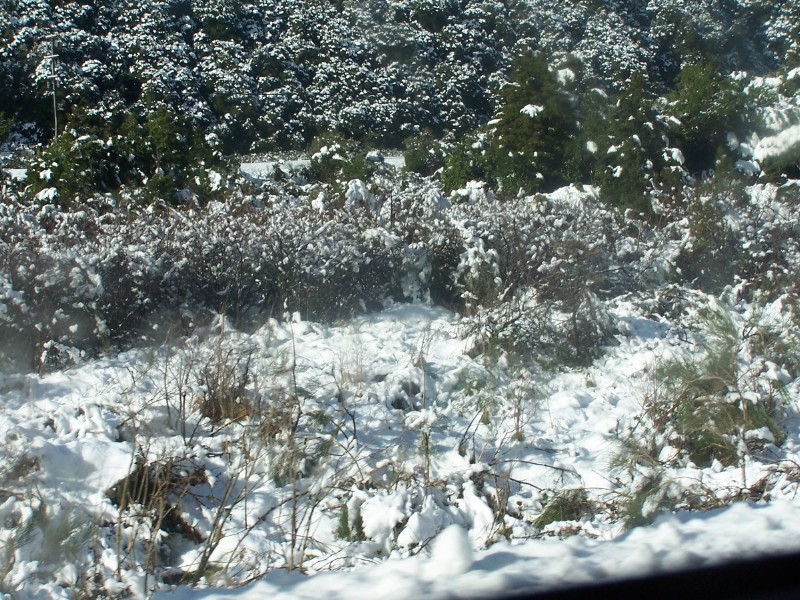 100_6565.JPG