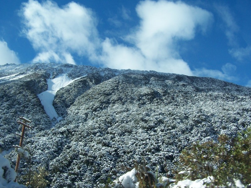 100_6567.JPG