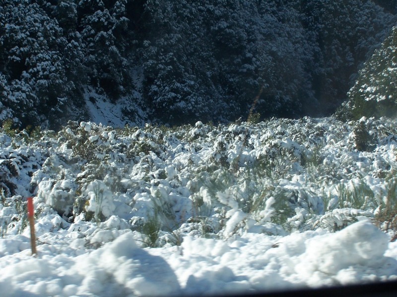 100_6576.JPG