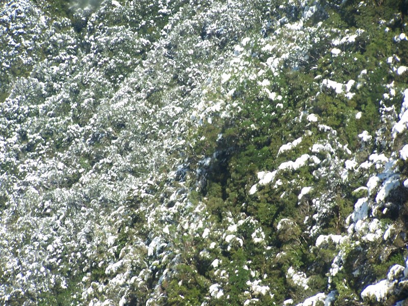 100_6580.JPG