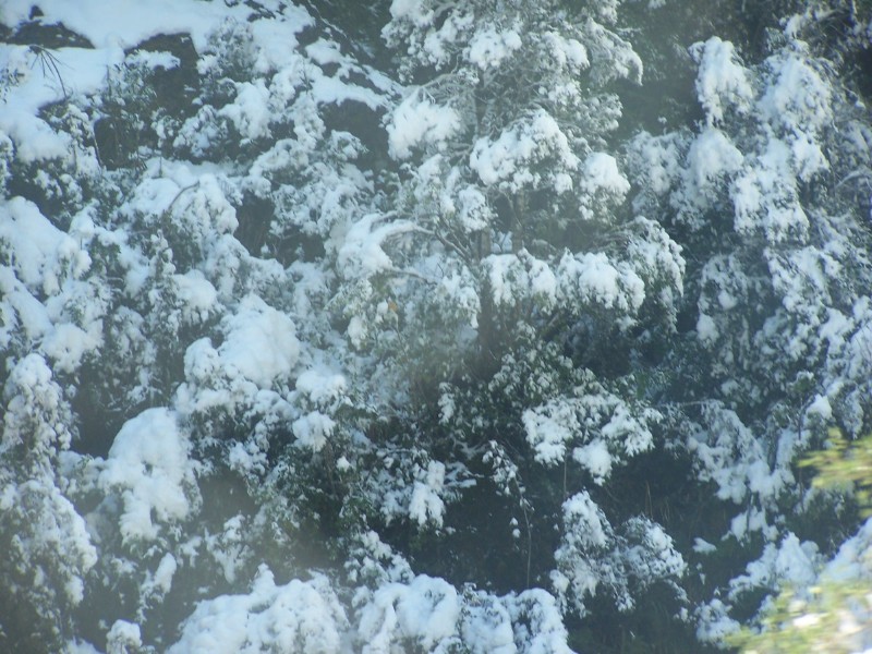 100_6582.JPG