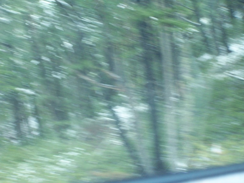 100_6612.JPG
