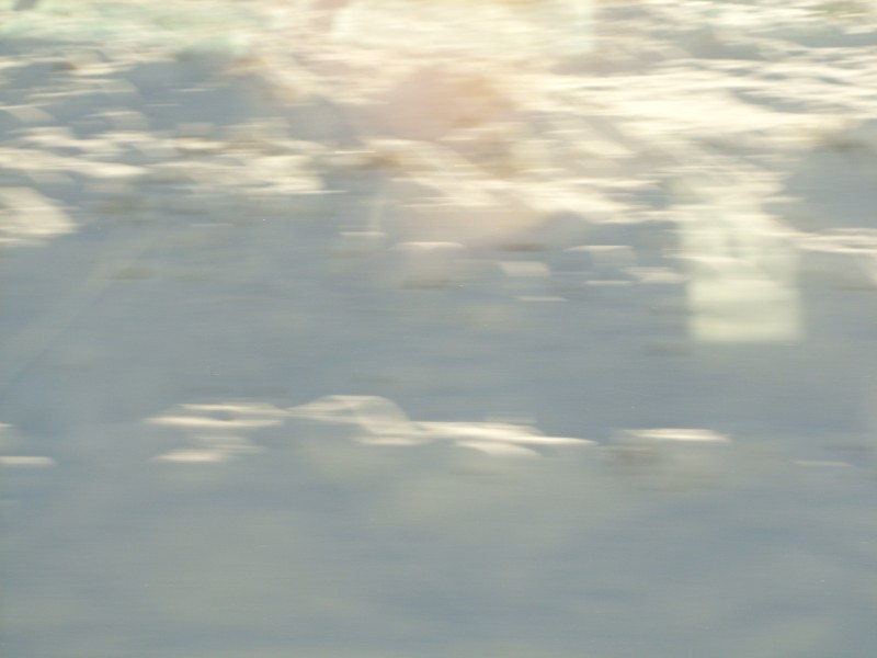 SS850631.JPG