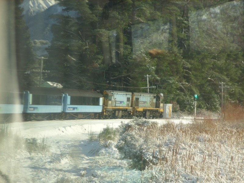 SS850644.JPG