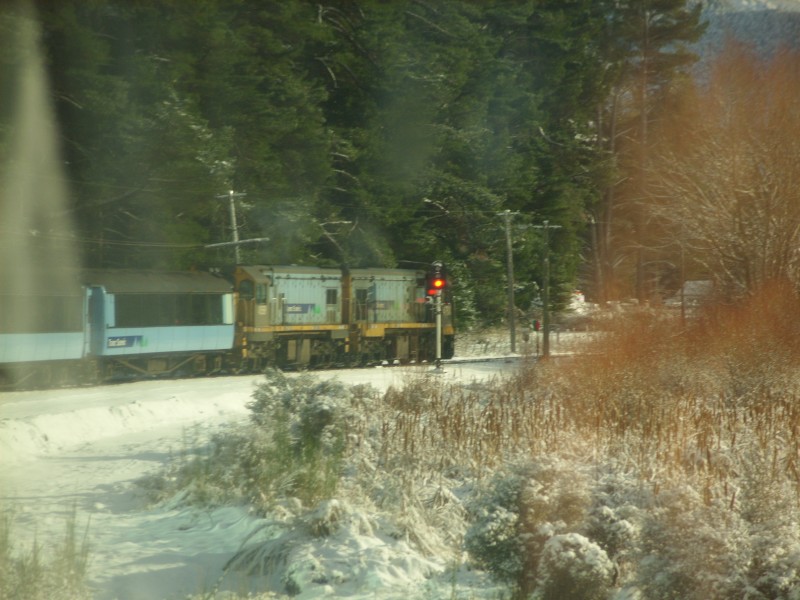 SS850649.JPG