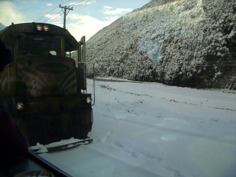 SS850681.JPG