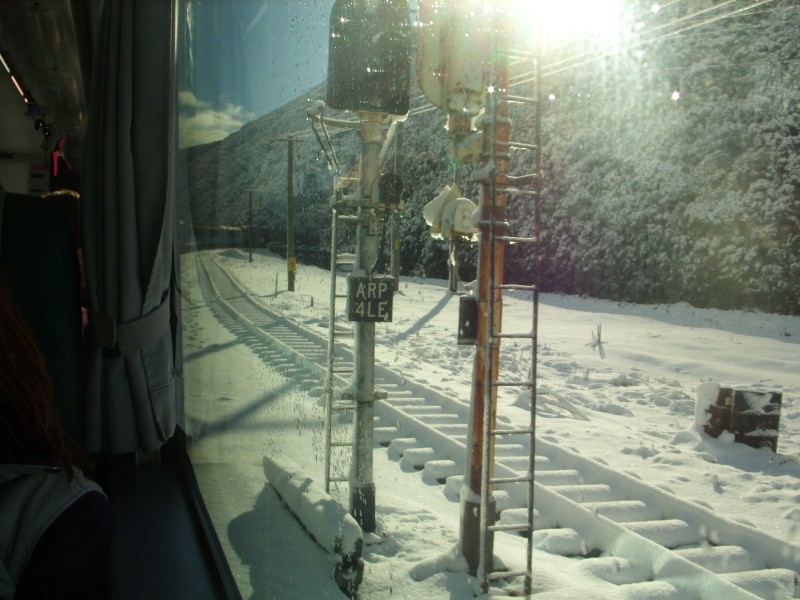 SS850706.JPG