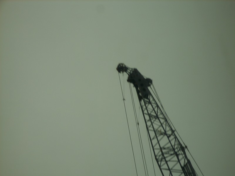 SS850758.JPG