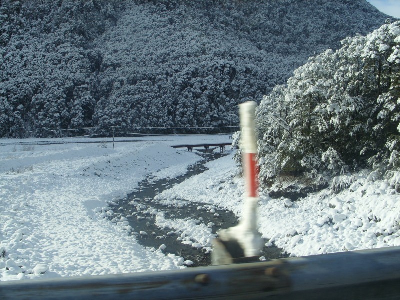 SS850879.JPG