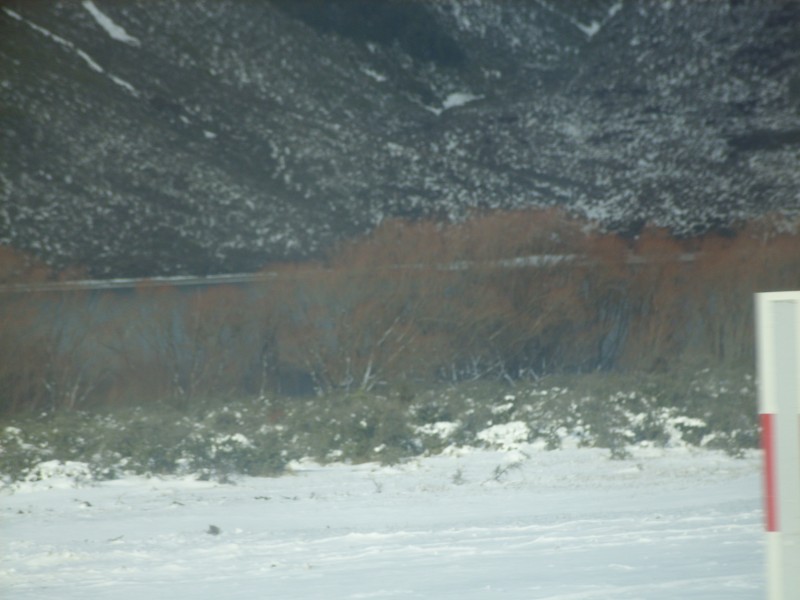 SS850920.JPG