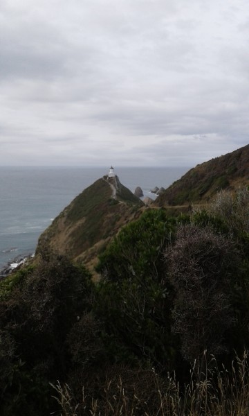 20160307_122051.jpg