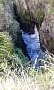 20160306_121844_6.jpg